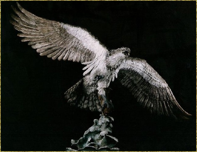Osprey in flight